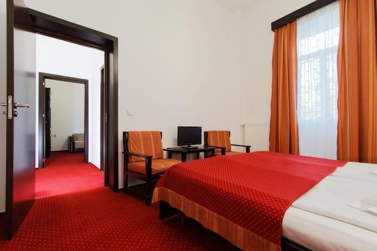 Hotel Central Calimanesti Caciulata11